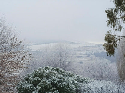 The Courtyard Cafe Clarens Free State South Africa Unsaturated, Blossom, Plant, Nature, Winter Landscape, Snow, Winter