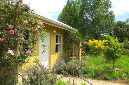 Cabin, Building, Architecture, House, Plant, Nature, Garden, The Edge Mountain Retreat, Hogsback, Hogsback