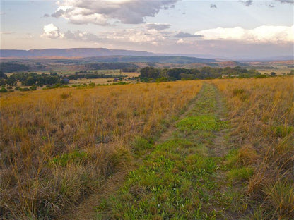 The Elements Magaliesburg Gauteng South Africa Field, Nature, Agriculture, Lowland