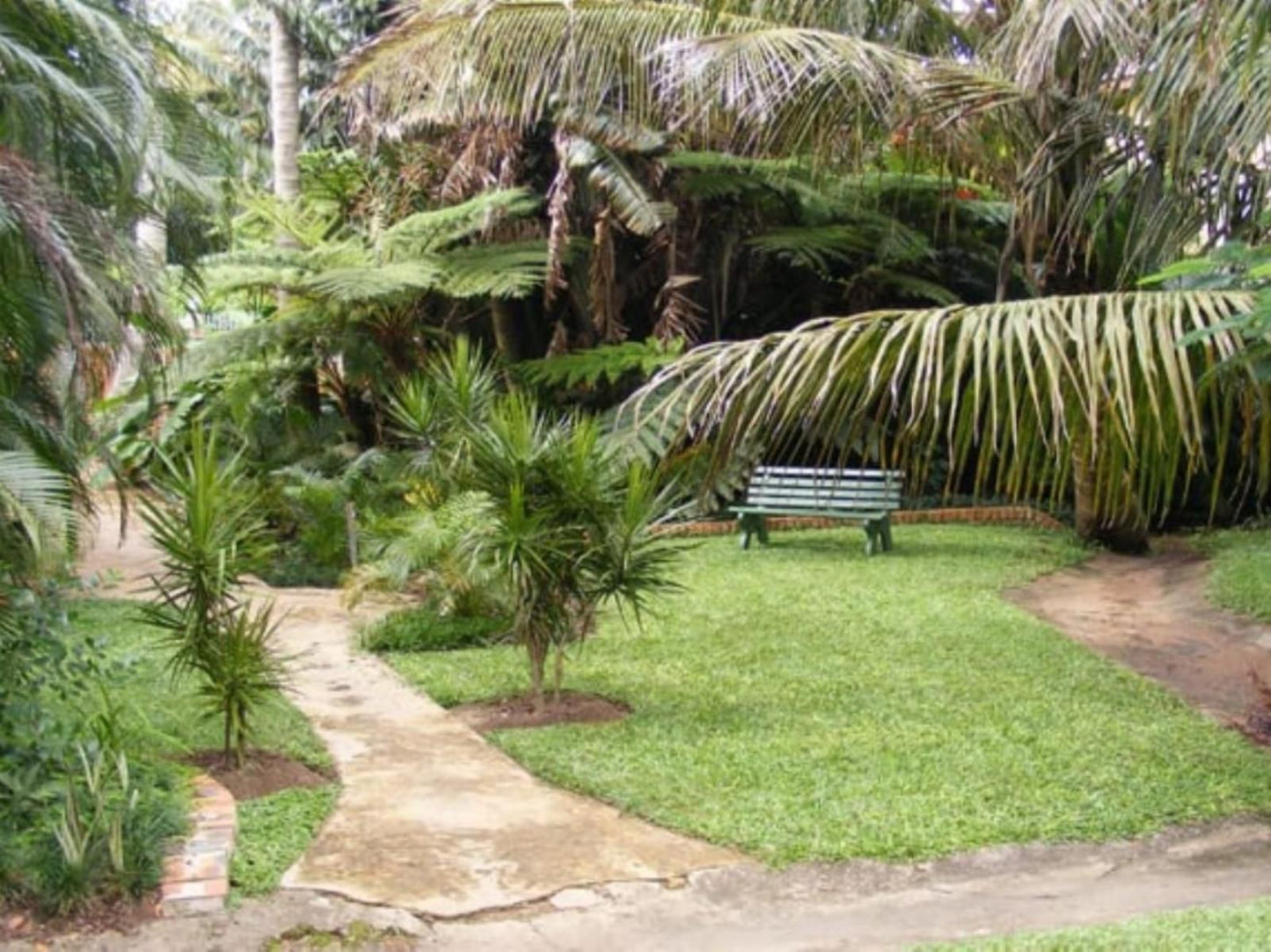 The Estuary Guest Chalets St Lucia Kwazulu Natal South Africa Palm Tree, Plant, Nature, Wood, Garden