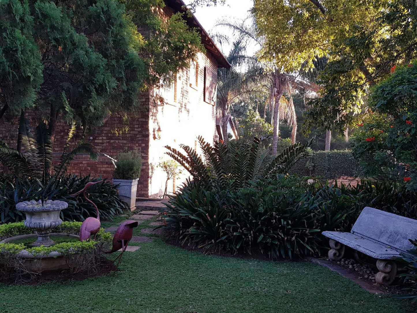 Falling Feather Inn Pretoria East Pretoria Tshwane Gauteng South Africa Palm Tree, Plant, Nature, Wood, Garden