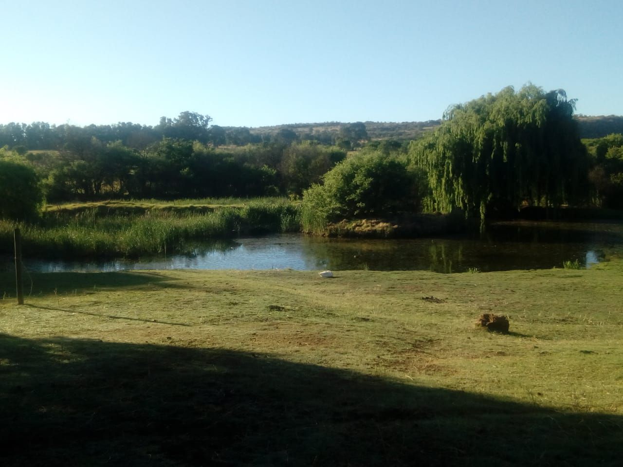 The Gecko Inn Venterskroon Free State South Africa Complementary Colors, River, Nature, Waters