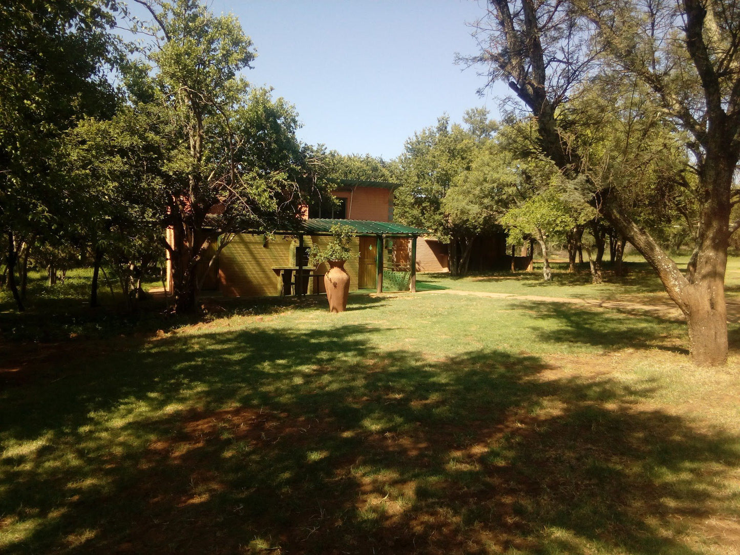 The Gecko Inn Venterskroon Free State South Africa Plant, Nature, Tree, Wood