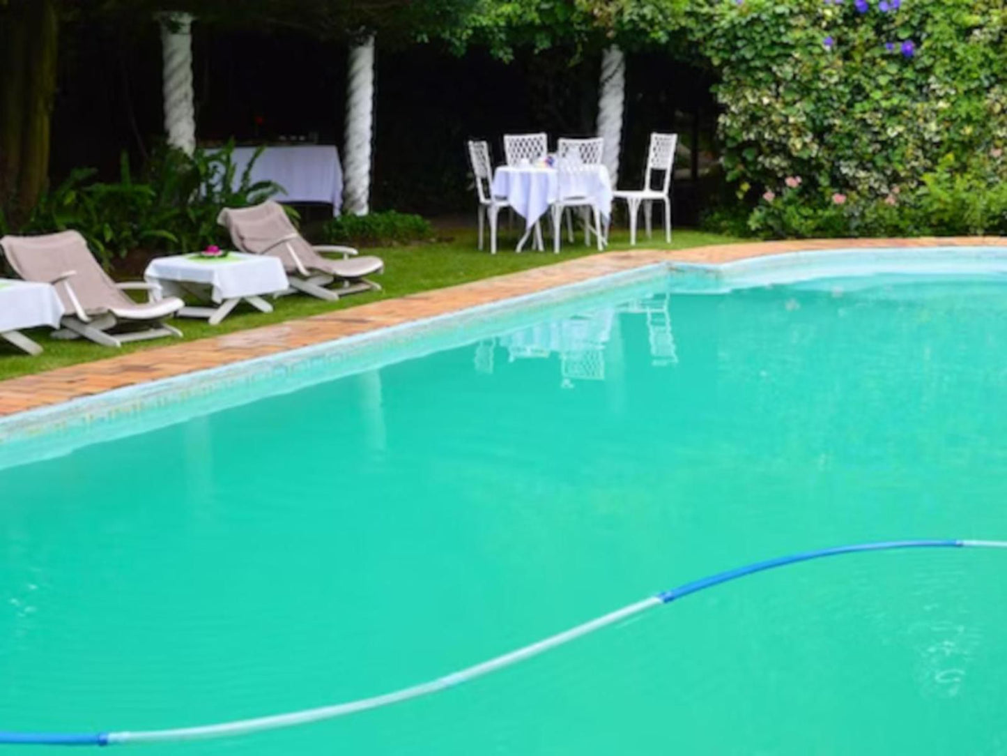 The Gl Cottages Observatory Jhb Johannesburg Gauteng South Africa Swimming Pool