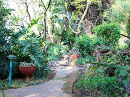 The Gl Cottages Observatory Jhb Johannesburg Gauteng South Africa Palm Tree, Plant, Nature, Wood, Garden