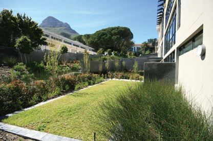 The Glen Two Bedroom Apartment Camps Bay Cape Town Western Cape South Africa Palm Tree, Plant, Nature, Wood, Garden