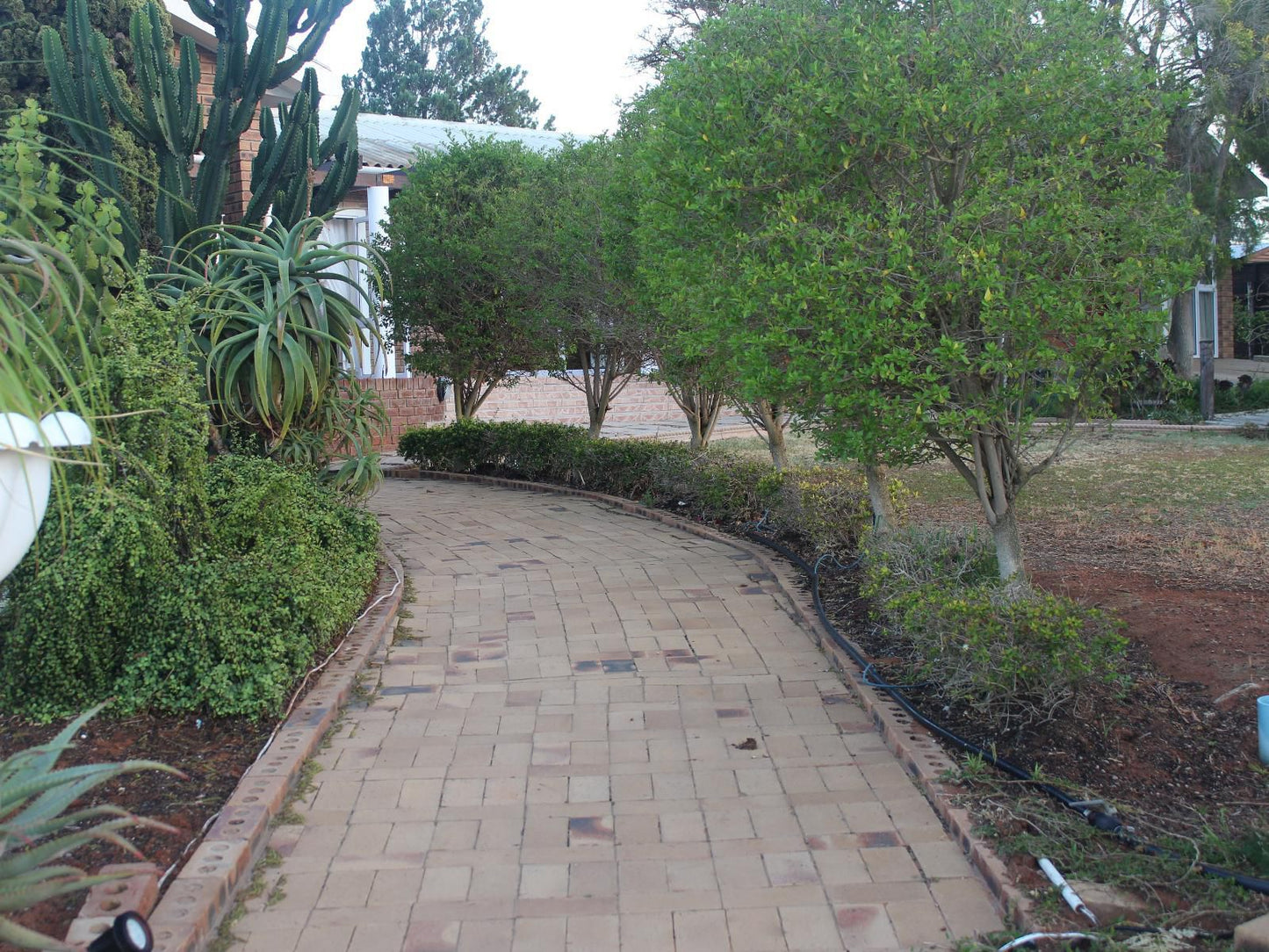 The Golden Grape Bed And Breakfast Lutzville Western Cape South Africa House, Building, Architecture, Palm Tree, Plant, Nature, Wood, Garden