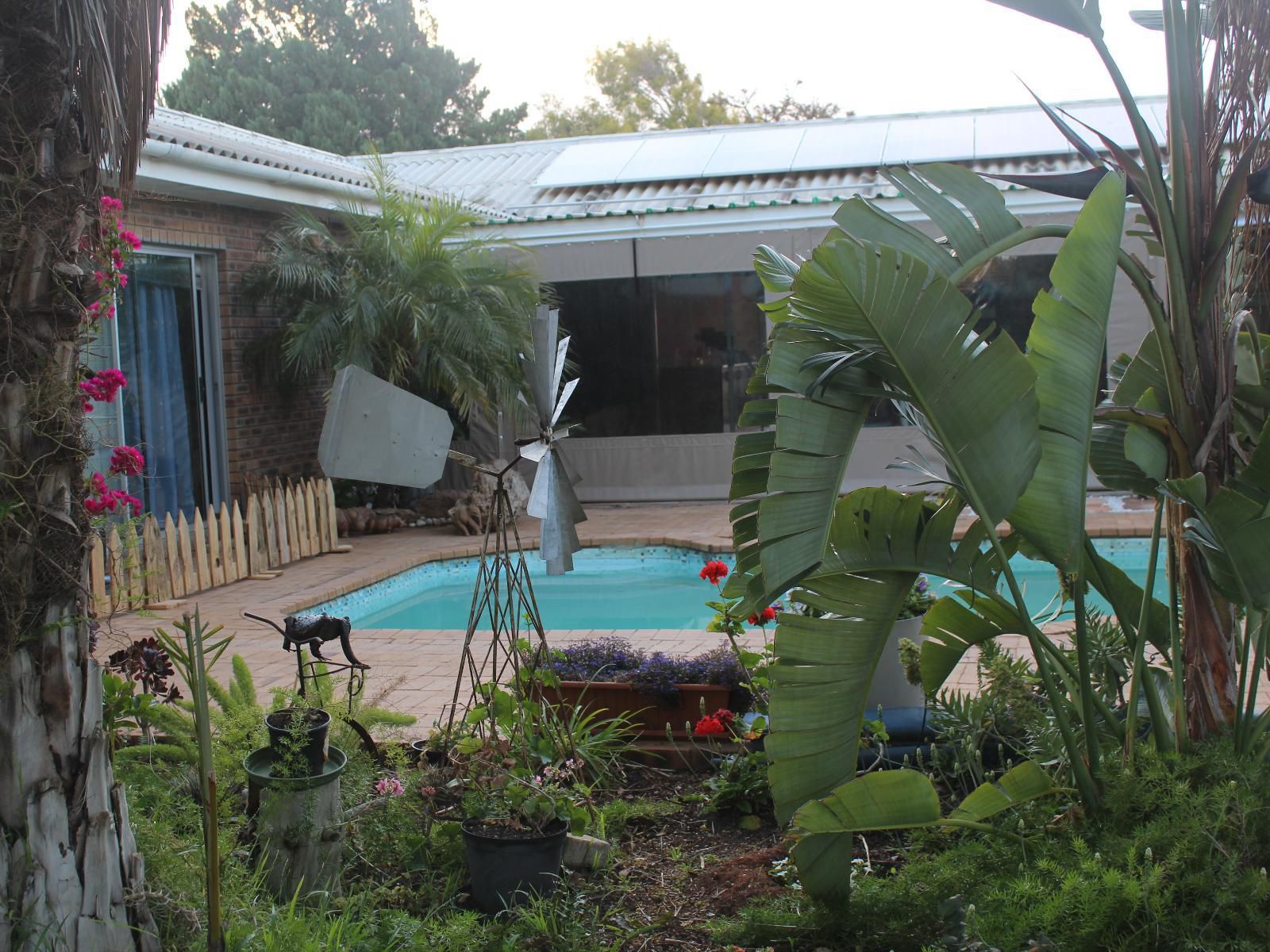 The Golden Grape Bed And Breakfast Lutzville Western Cape South Africa Palm Tree, Plant, Nature, Wood, Garden, Swimming Pool