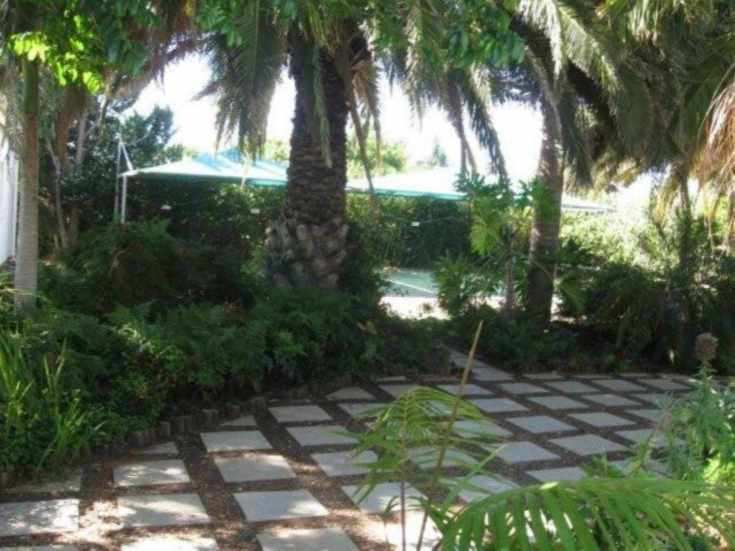 The Golden Grape Bed And Breakfast Lutzville Western Cape South Africa Beach, Nature, Sand, Palm Tree, Plant, Wood, Garden, Swimming Pool