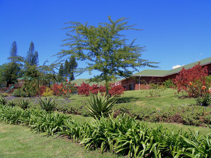 The Gorgez View Paddock Kwazulu Natal South Africa Complementary Colors, Plant, Nature, Garden