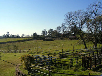 The Gorgez View Paddock Kwazulu Natal South Africa Complementary Colors, Field, Nature, Agriculture