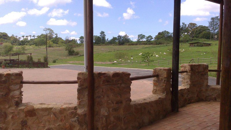 The Gorgez View Paddock Kwazulu Natal South Africa Complementary Colors, Palm Tree, Plant, Nature, Wood, Ruin, Architecture, Framing