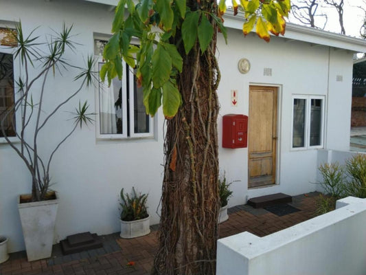 The Grange Guest House Durban North Durban Kwazulu Natal South Africa House, Building, Architecture, Plant, Nature