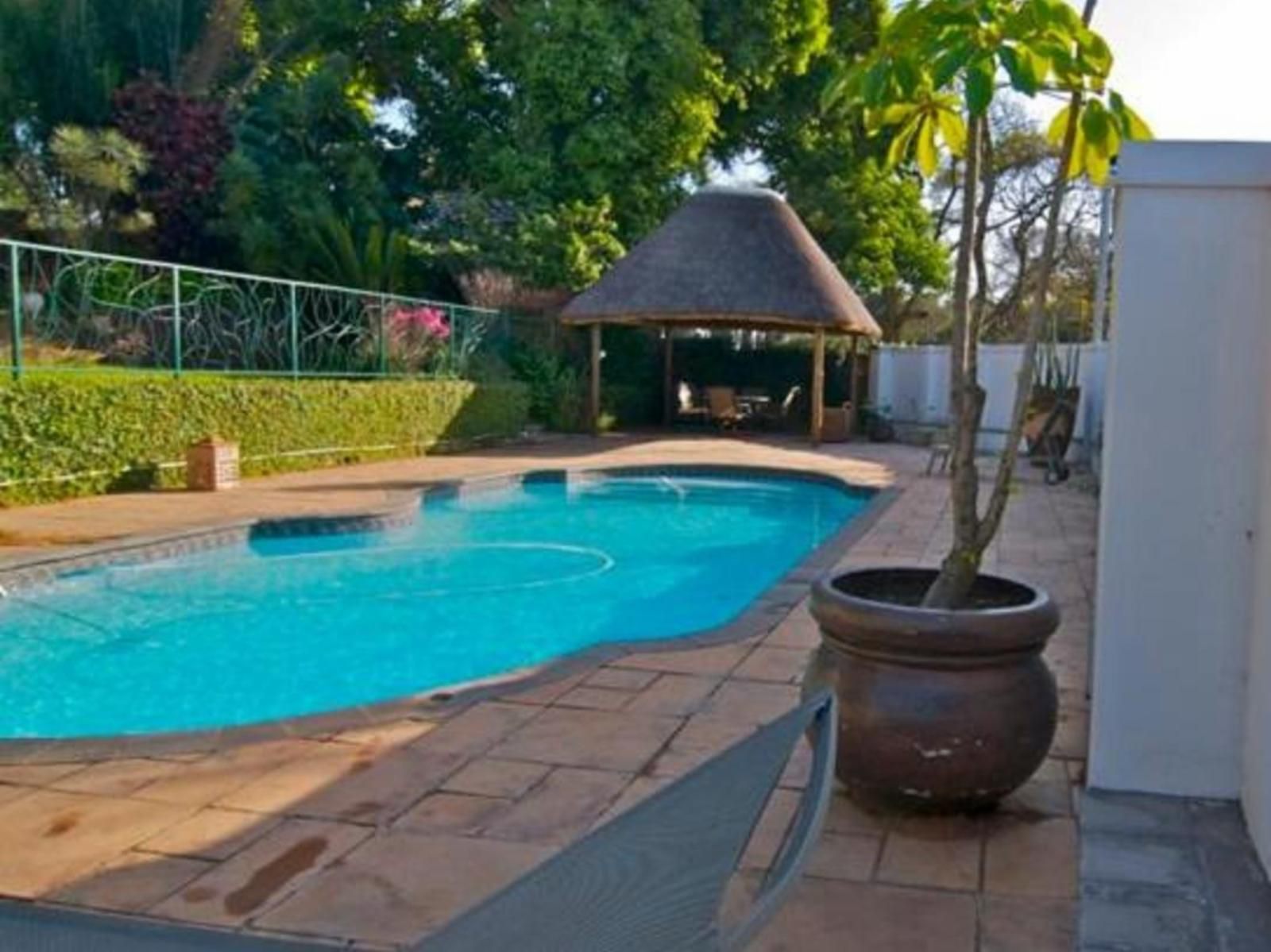 The Grange Guest House Durban North Durban Kwazulu Natal South Africa Garden, Nature, Plant, Swimming Pool