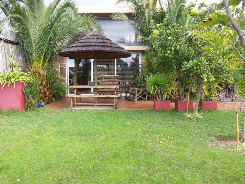 The Greens Lodge Parow Cape Town Western Cape South Africa Palm Tree, Plant, Nature, Wood, Garden