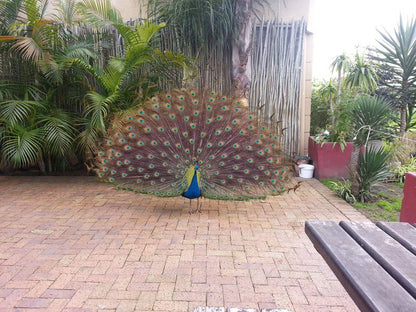 The Greens Lodge Parow Cape Town Western Cape South Africa Palm Tree, Plant, Nature, Wood