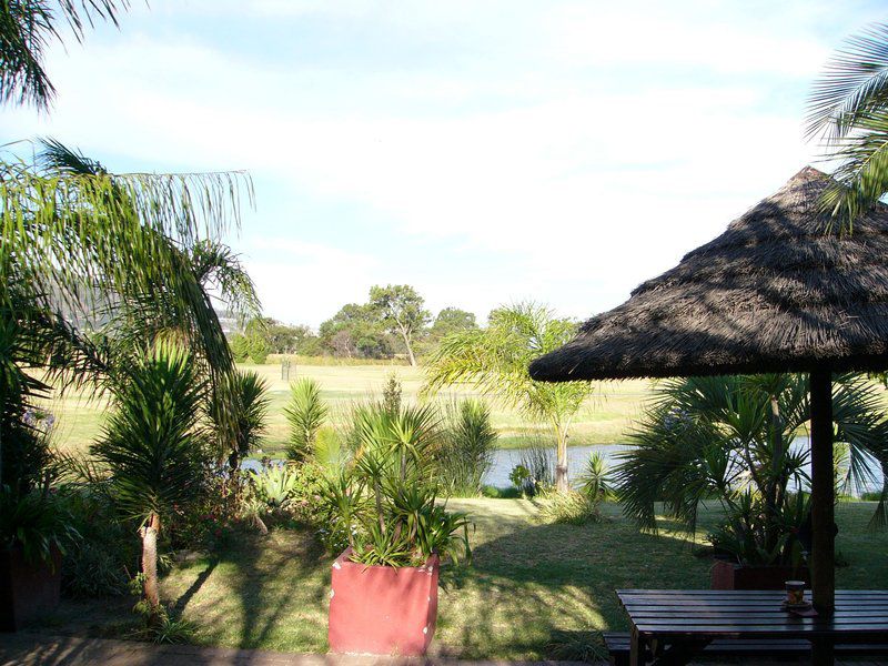 The Greens Lodge Parow Cape Town Western Cape South Africa Palm Tree, Plant, Nature, Wood