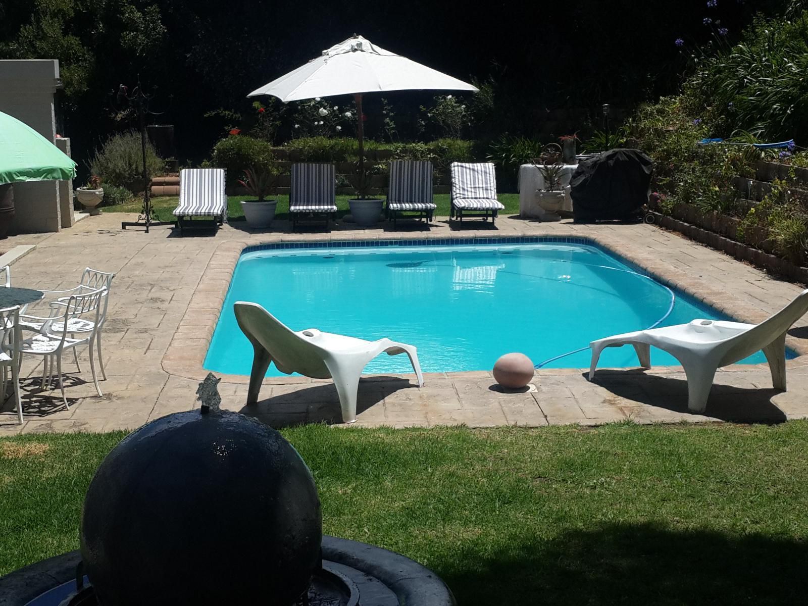 The Greens Guest House Welgemoed Cape Town Western Cape South Africa Garden, Nature, Plant, Swimming Pool