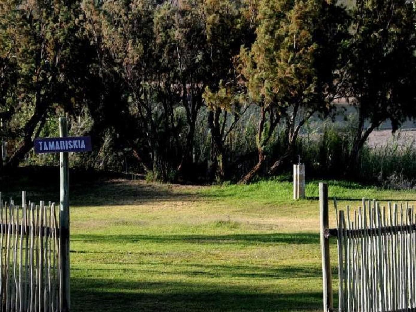 The Growcery Vioolsdrift Northern Cape South Africa Sign