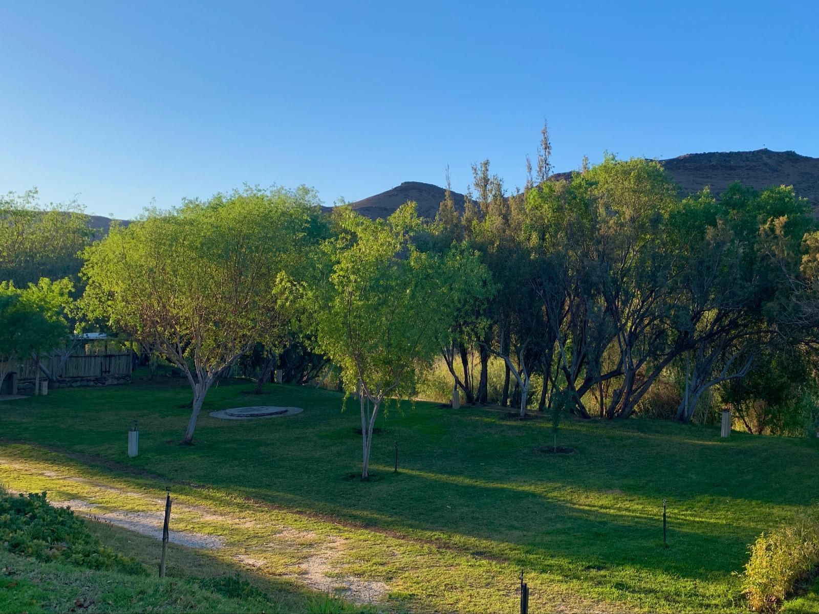 The Growcery Vioolsdrift Northern Cape South Africa Complementary Colors, Colorful, Plant, Nature