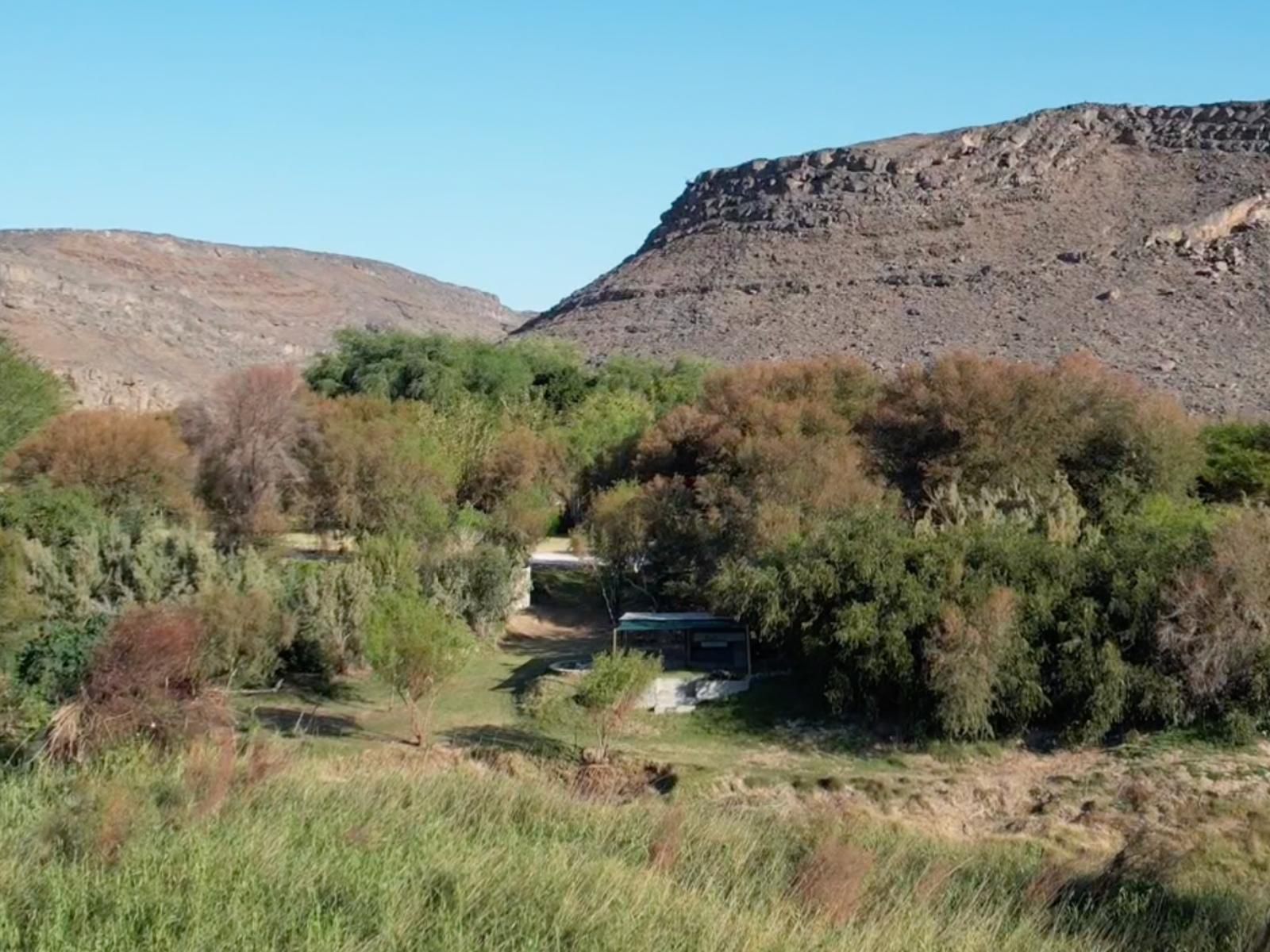 The Growcery Vioolsdrift Northern Cape South Africa Complementary Colors, Cactus, Plant, Nature, Desert, Sand