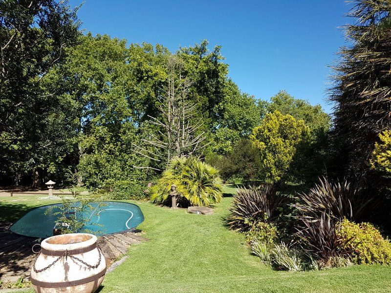 The Guardians Elliot Eastern Cape South Africa Complementary Colors, Plant, Nature, Tree, Wood, Garden, Swimming Pool