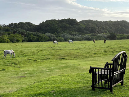 The Haven Hotel Cwebe Dwesa Eastern Cape South Africa Ball Game, Sport