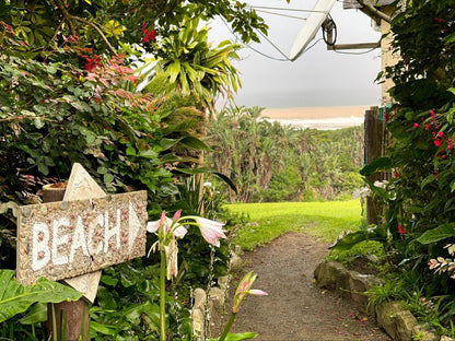 The Haven Hotel Cwebe Dwesa Eastern Cape South Africa Beach, Nature, Sand, Palm Tree, Plant, Wood