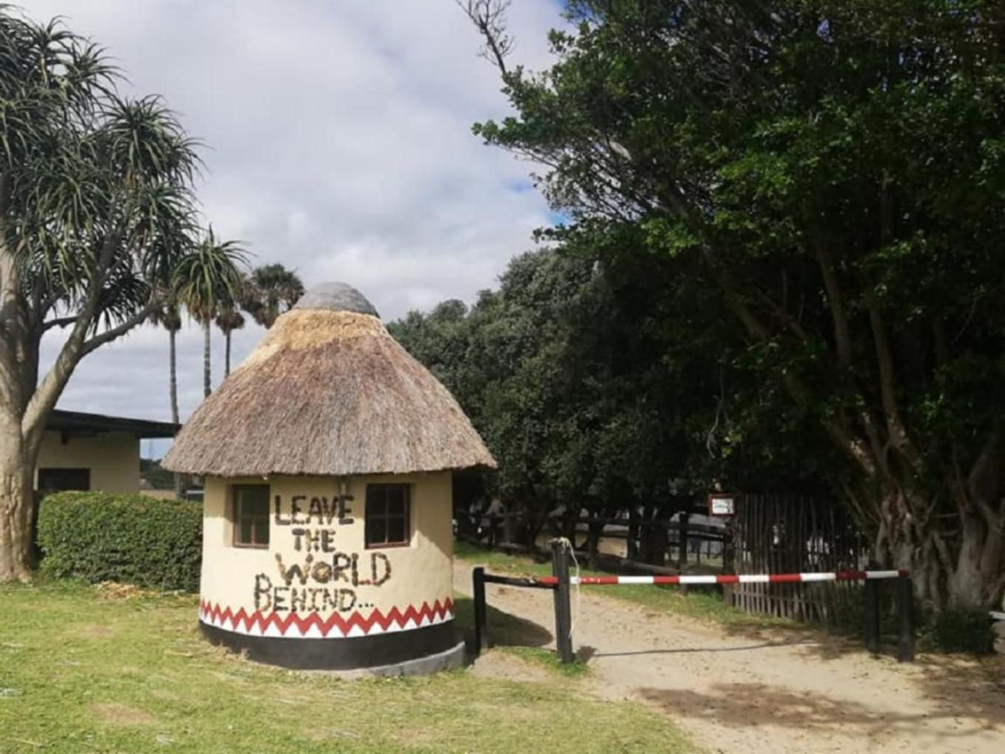 The Haven Hotel Cwebe Dwesa Eastern Cape South Africa Palm Tree, Plant, Nature, Wood