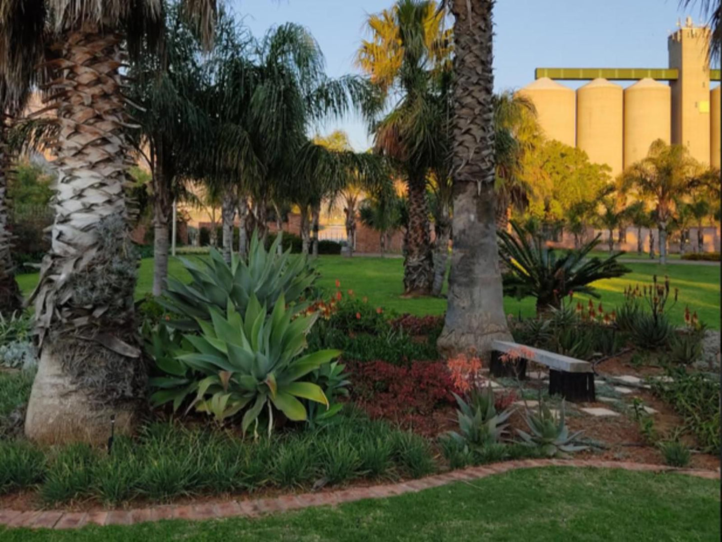The Haven Ashton Western Cape South Africa Palm Tree, Plant, Nature, Wood, Garden