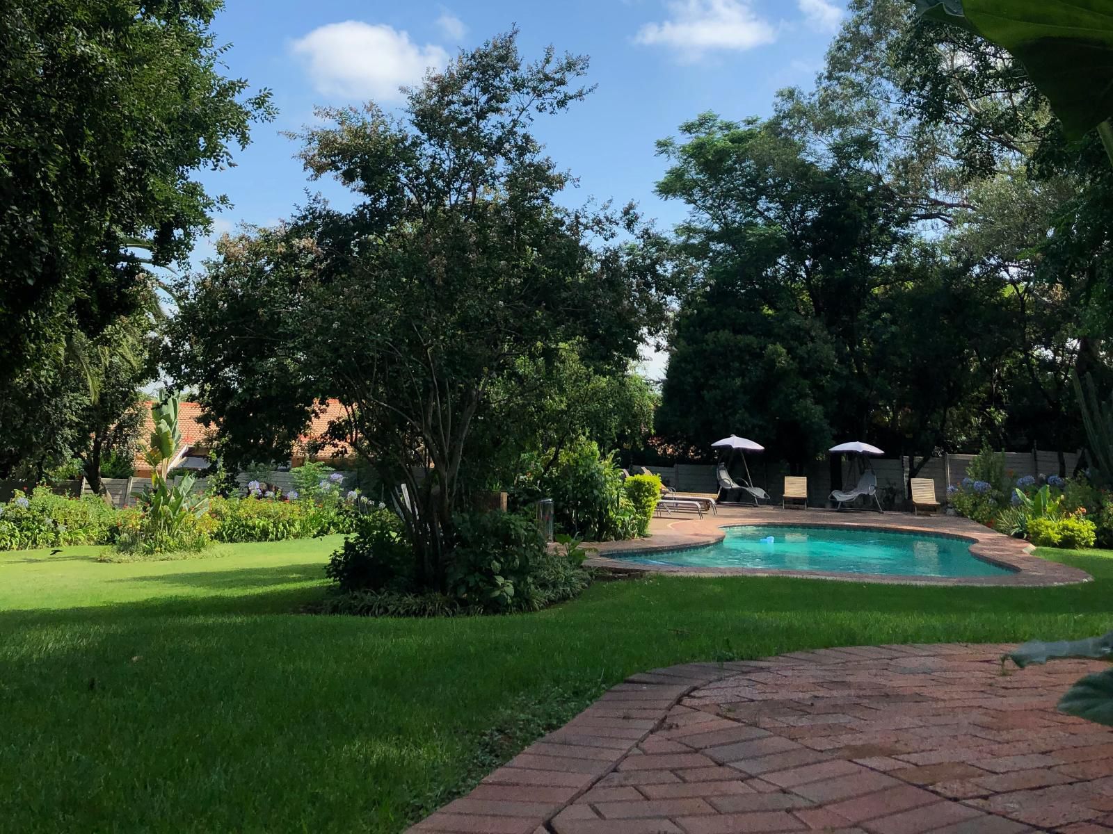 The Haystack On Homestead Edenburg Johannesburg Gauteng South Africa Plant, Nature, Garden, Swimming Pool