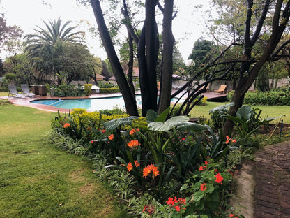 The Haystack On Homestead Edenburg Johannesburg Gauteng South Africa Palm Tree, Plant, Nature, Wood, Garden, Swimming Pool