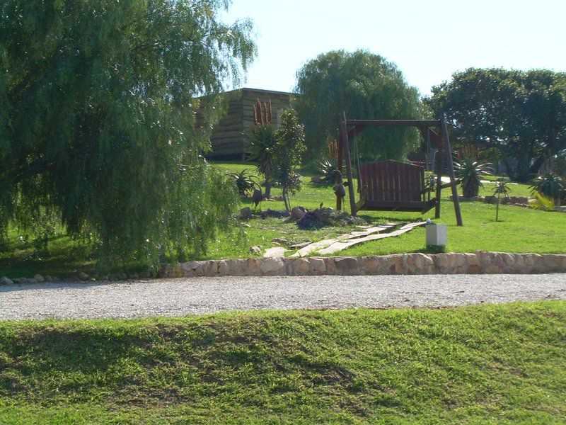 The Hexagon Guesthouse And Wildlife Conservation Uitenhage Eastern Cape South Africa Garden, Nature, Plant