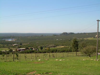 The Hexagon Guesthouse And Wildlife Conservation Uitenhage Eastern Cape South Africa Complementary Colors, Lowland, Nature