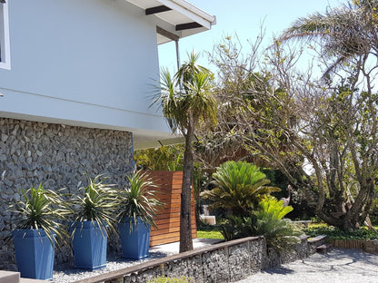 The Hillcrest Guesthouse Beacon Bay East London Eastern Cape South Africa Palm Tree, Plant, Nature, Wood