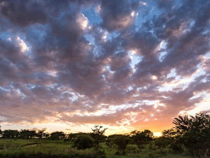 The Hilton Bush Lodge Hilton Pietermaritzburg Kwazulu Natal South Africa Sky, Nature, Sunset