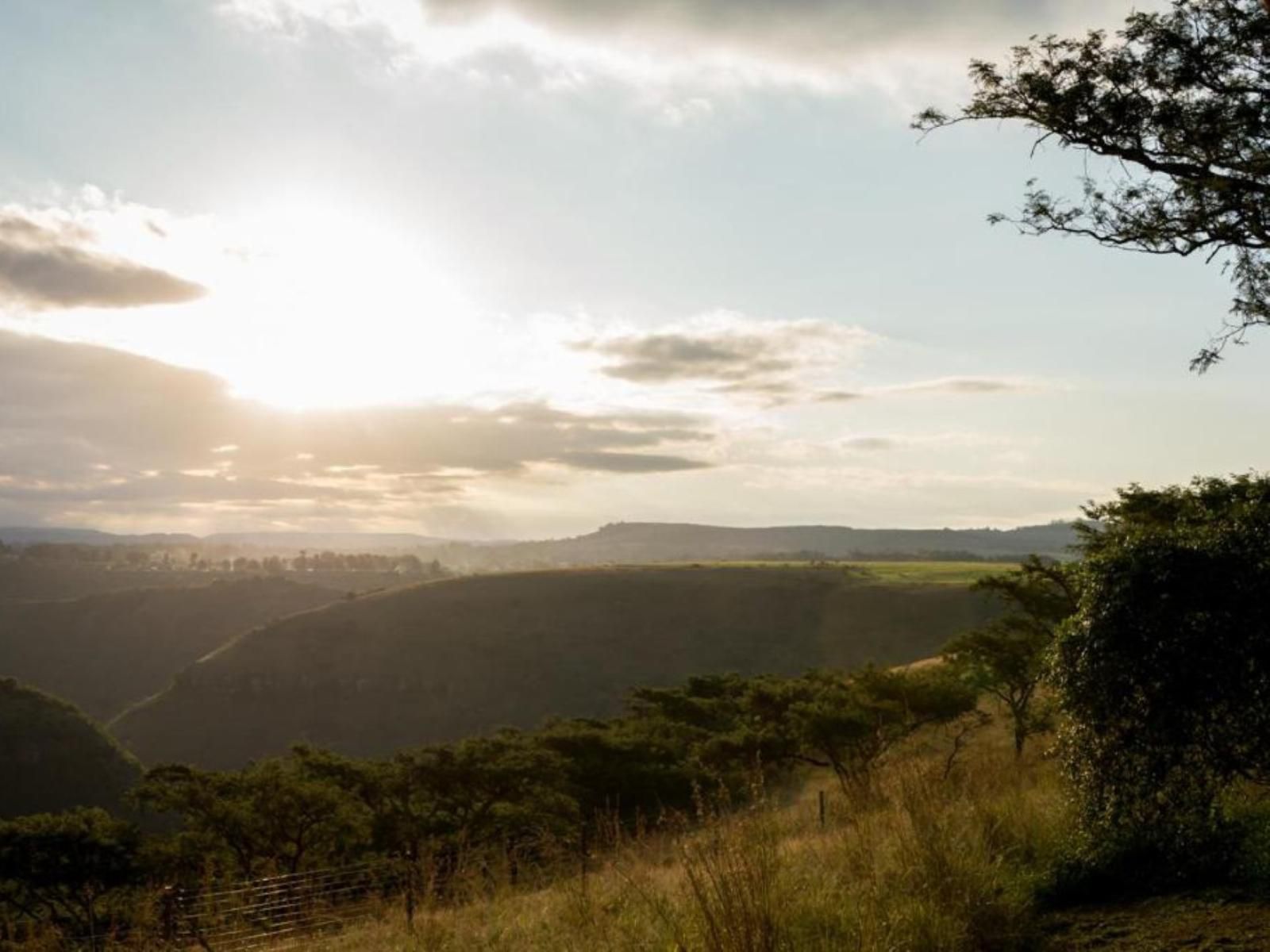 The Hilton Bush Lodge Hilton Pietermaritzburg Kwazulu Natal South Africa Sky, Nature