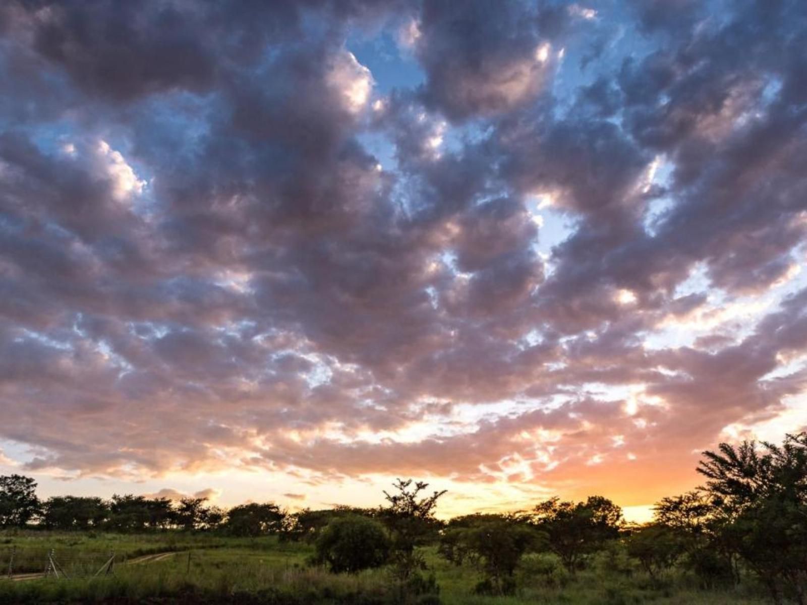 The Hilton Bush Lodge Hilton Pietermaritzburg Kwazulu Natal South Africa Sky, Nature, Lowland, Sunset