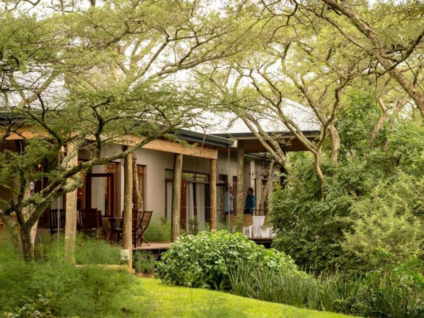 The Hilton Bush Lodge Hilton Pietermaritzburg Kwazulu Natal South Africa House, Building, Architecture, Plant, Nature