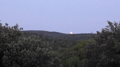 The Honey Nest Woonwapark Rustenburg North West Province South Africa Moon, Nature