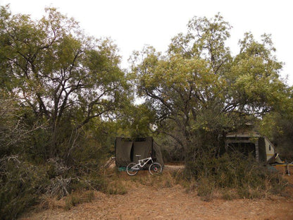 The Honey Nest Woonwapark Rustenburg North West Province South Africa Forest, Nature, Plant, Tree, Wood