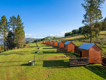 The Kingfisher Country Cottages And Trout Lodge Machadodorp Mpumalanga South Africa Complementary Colors, Cabin, Building, Architecture