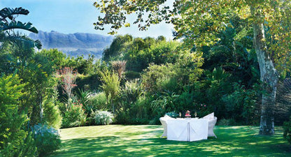 The Last Word Constantia Constantia Cape Town Western Cape South Africa Garden, Nature, Plant