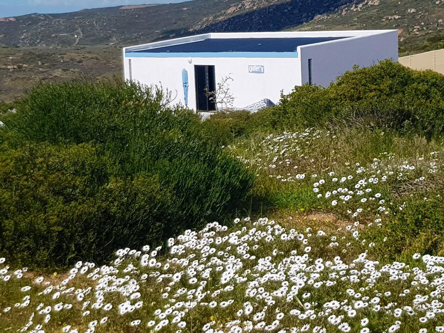 The Lazy Daisies Brittanica Heights St Helena Bay Western Cape South Africa Shipping Container, Nature