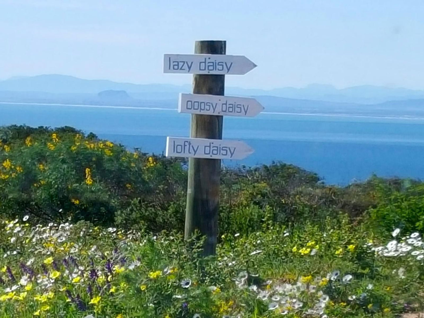 The Lazy Daisies Brittanica Heights St Helena Bay Western Cape South Africa Complementary Colors, Beach, Nature, Sand, Sign, Text