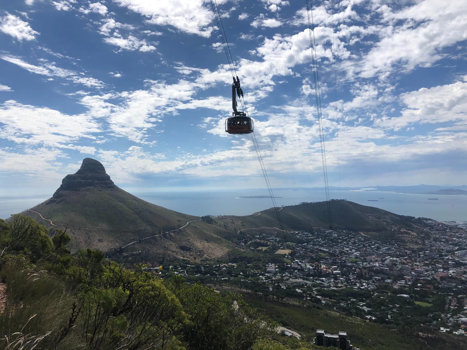 The Little Palm Bloubergrant Blouberg Western Cape South Africa Cable Car, Vehicle, Christ The Redeemer, Sight, Architecture, Art, Religion, Statue, Travel, Nature