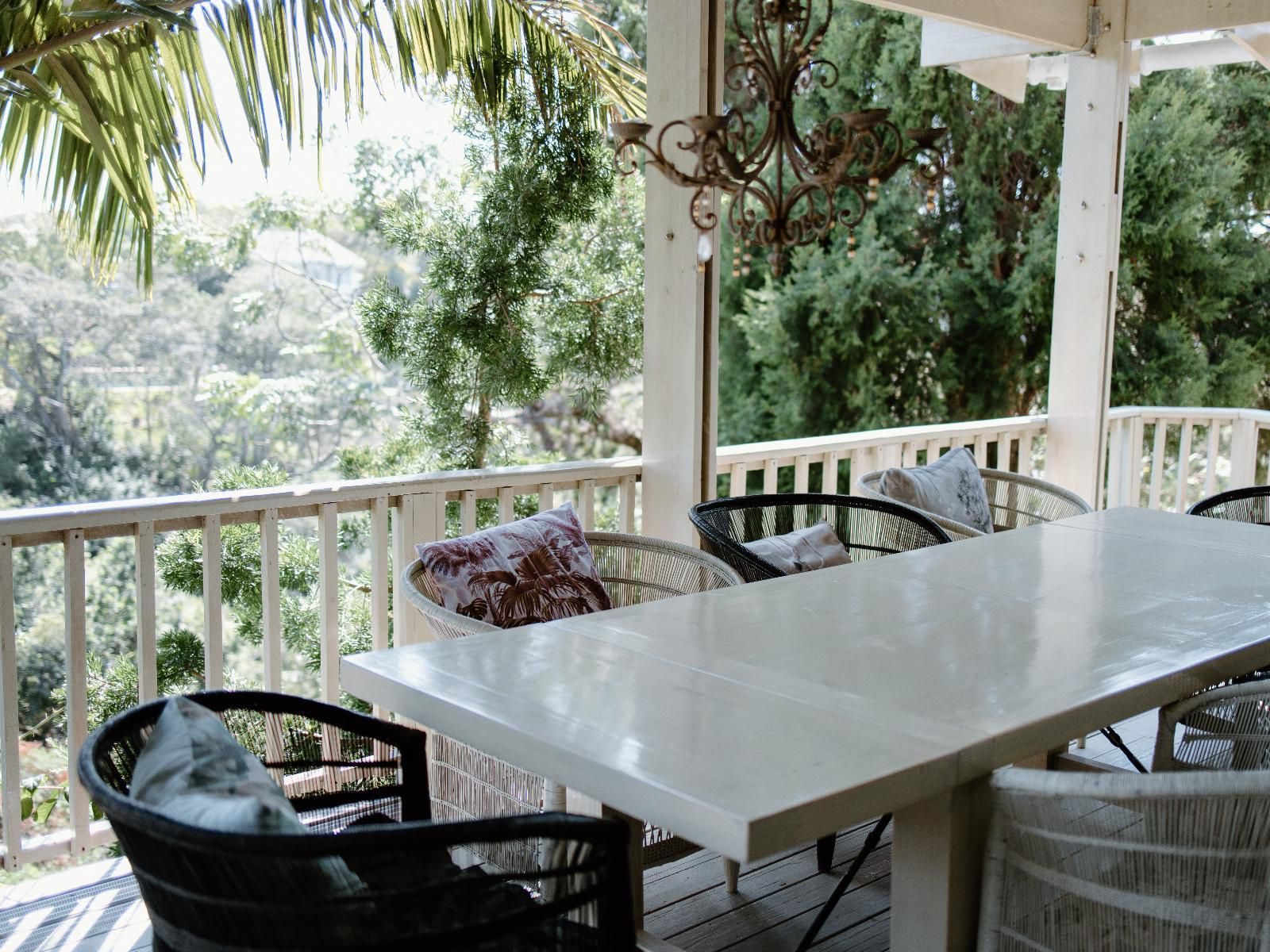 The Loerie Hide Bonnie Doon East London Eastern Cape South Africa Palm Tree, Plant, Nature, Wood