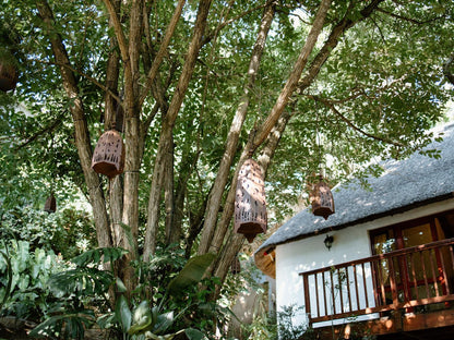 The Loerie Hide Bonnie Doon East London Eastern Cape South Africa Plant, Nature, Tree, Wood