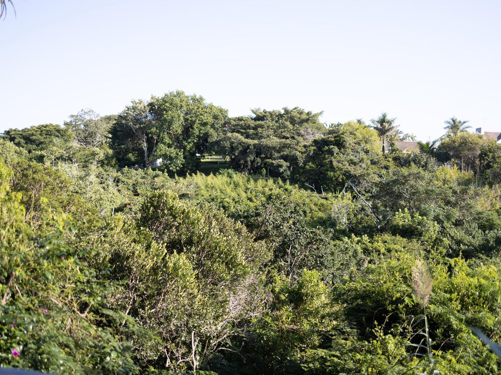 The Loerie Hide Bonnie Doon East London Eastern Cape South Africa Complementary Colors, Forest, Nature, Plant, Tree, Wood