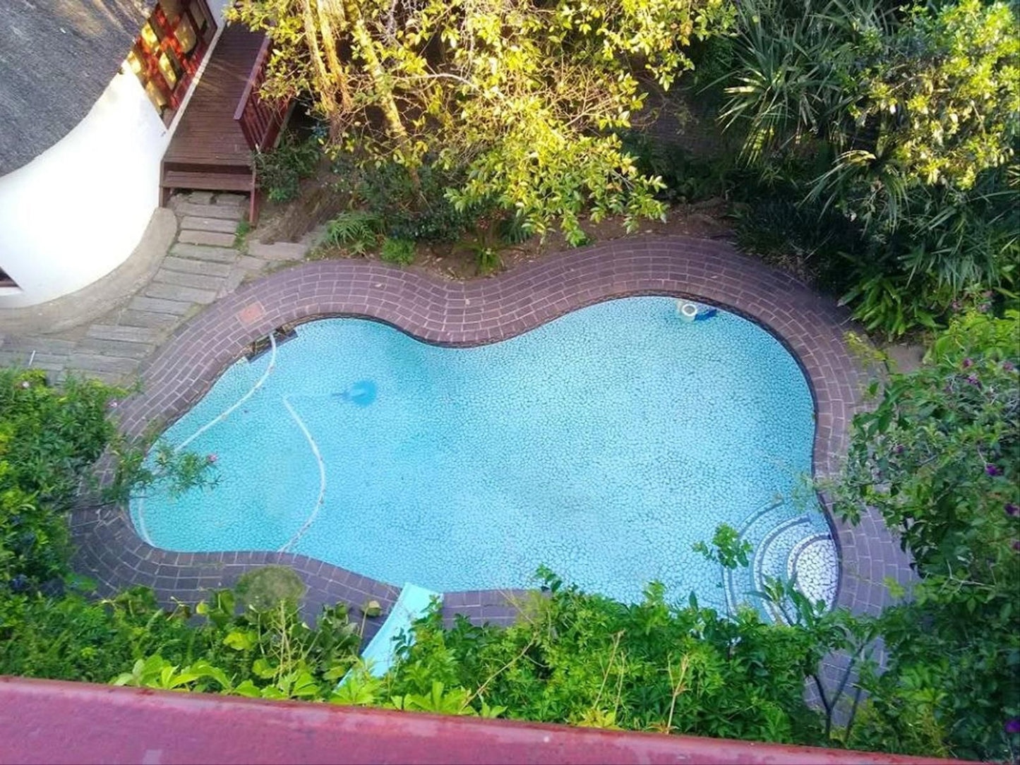 The Loerie Hide Bonnie Doon East London Eastern Cape South Africa Complementary Colors, Palm Tree, Plant, Nature, Wood, Garden, Swimming Pool